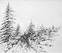 Forest Stream 1, 6.5x7.5 inches, graphite pencil, 2008
